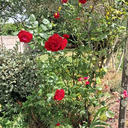 Bed and Breakfast Rosso