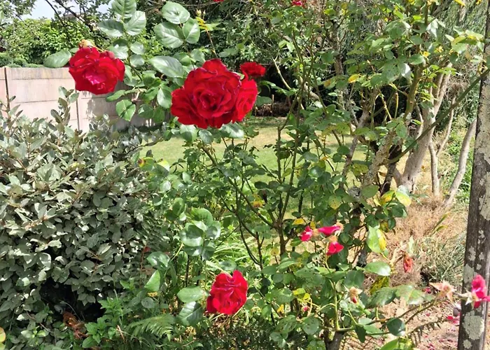 לינה וארוחת בוקר Rosso